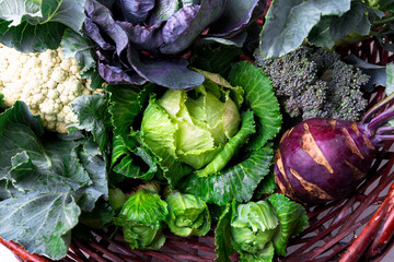 Various of Cabbage Broccoli Cauliflower. Assorted of Cabbages in Basket. - Powered by Adobe