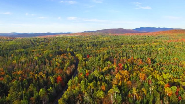 Aerial view of forest trees in New England, foliage season
