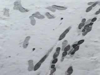 Footprints on the street in the snow