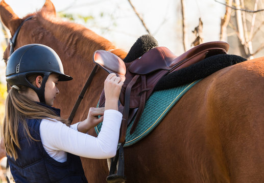 Young pretty girl preparing horse for riding