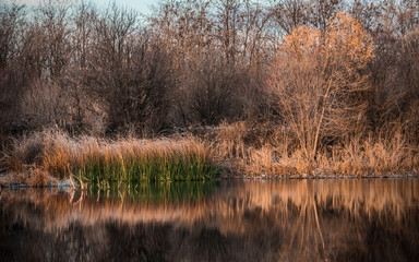 Morning on the river