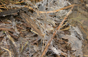 landscape with dry grass covered with crystals of ice