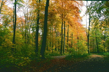 Fototapeta premium hannover