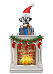 Dalmatian santa dog with gift near fireplace. Isolated on white