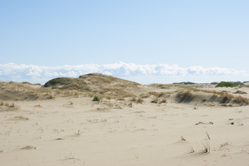 landscape of the Curonian Spit