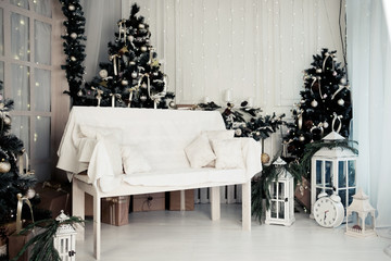 christmas studio decoration with bench and christmas tree
