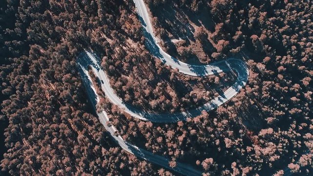 Vista a&eacute;rea cenital de coches circulando por carretera sinuosa en oto&ntilde;o rodeada de &aacute;rboles en la monta&ntilde;a