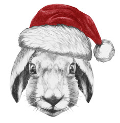 Portrait of  Hare with santa hat, hand-drawn illustration
