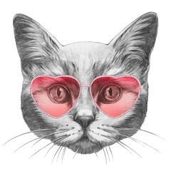 Cat in Love! Portrait of Cat with sunglasses. Hand-drawn illustration.