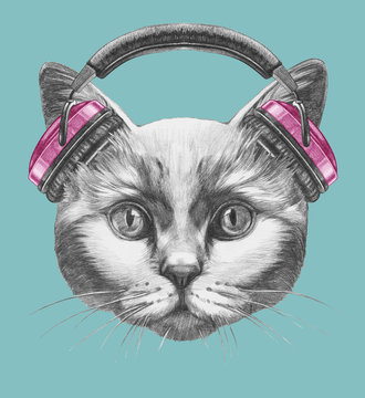 Portrait of Cat with headphones. Hand-drawn illustration.