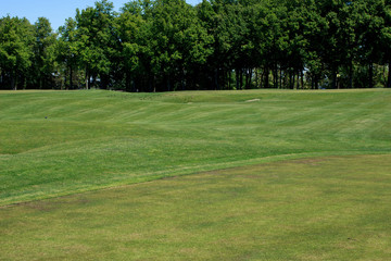 view of golf course