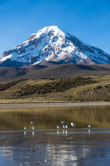 Sajama volcano and lake Huay&ntilde;acota. Andean Bolivia