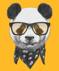 Fototapeta premium Portret Pandy w okularach i szaliku. Ręcznie rysowane ilustracji.