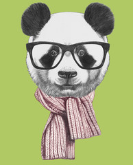Portrait of  Panda with glasses and scarf. Hand-drawn illustration.