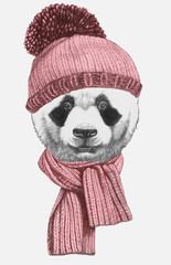 Portrait of  Panda with hat and scarf. Hand-drawn illustration.