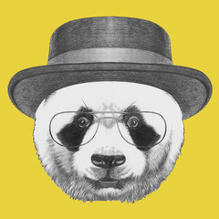Portrait of  Panda with hat and glasses. Hand-drawn illustration.