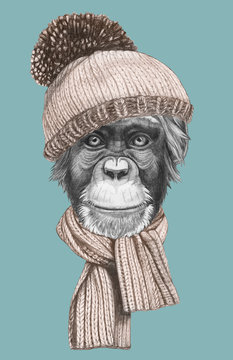 Portrait of Monkey with hat and scarf. Hand-drawn illustration.