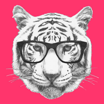 Portrait of Tiger with glasses. Hand-drawn illustration.