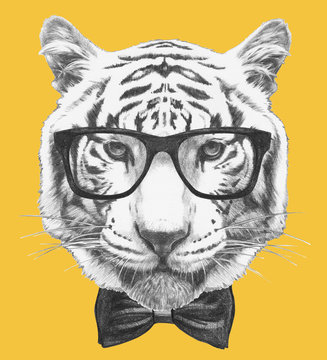 Portrait of Tiger with glasses and bow tie. Hand-drawn illustration.