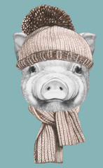 Portrait of Pig with hat and scarf, hand-drawn illustration.