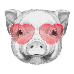 Pig in Love! Portrait of Pig with sunglasses, hand drawn illustration