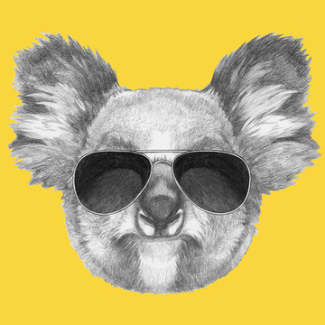 Portrait of Koala with sunglasses, hand-drawn illustration