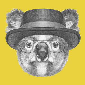 Portrait of Koala with hat, hand-drawn illustration
