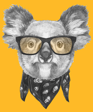 Portrait of Koala with glasses and scarf, hand-drawn illustration