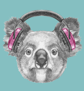 Portrait of Koala with headphones, hand-drawn illustration
