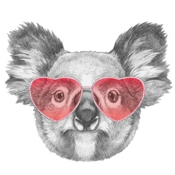 Koala in Love! Portrait of Koala with sunglasses, hand-drawn illustration
