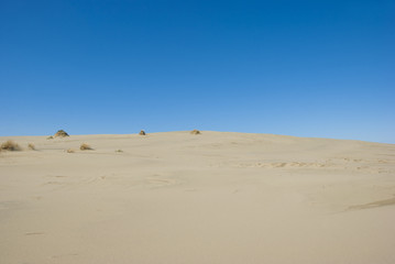 landscape of the Curonian Spit