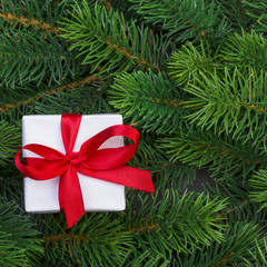 Obraz na płótnie Canvas Gift box and christmas tree branches