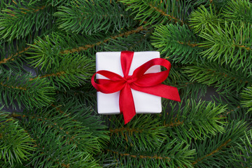 Fototapeta na wymiar Gift box and christmas tree branches
