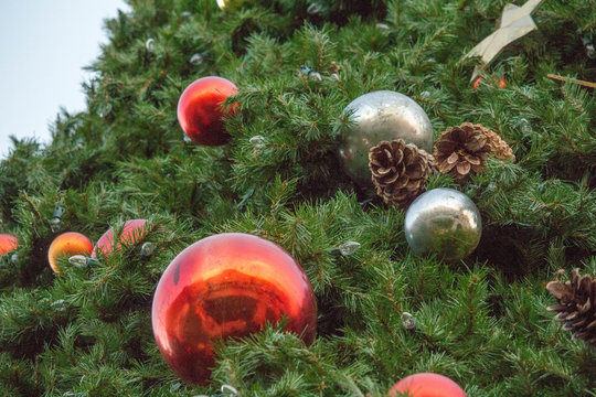 Christmas Decorations on a Big Tree