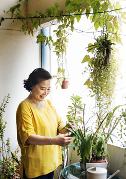 Asian Woman Is Taking Care Of Plants