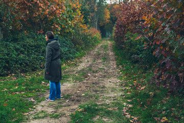 Fototapeta premium Woman on country road in autumn trees and bushes.