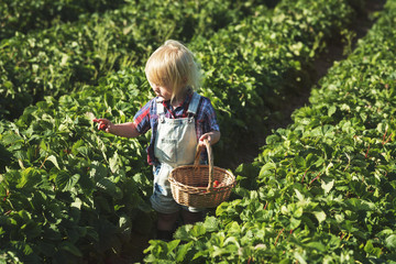 Cultivate Garden Nature Seasonal Growth Concept