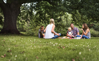 Family Generations Picnic Togetherness Relaxation Concept