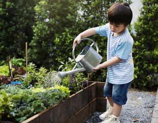 Little boy watering the plants