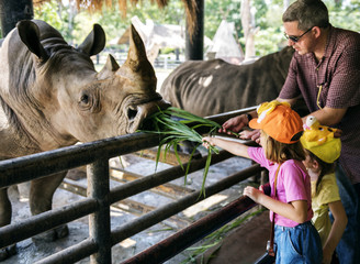 Obraz premium Młode dziewczyny kaukaski karmienia nosorożca w zoo