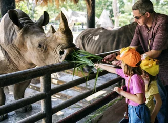 Acrylic prints Rhino Young caucasian girls feeding rhino at the zoo