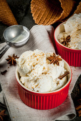 Cold Homemade Eggnog Ice Cream with Cinnamon and anise, on dark stone background, copy space