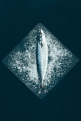 top view of fresh raw mackerel on slate board isolated on black
