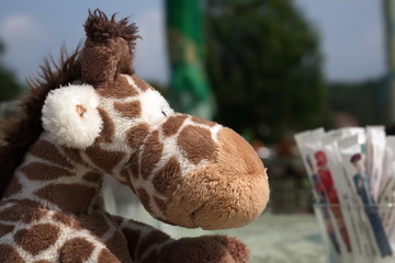 wo bleibt das Eis....