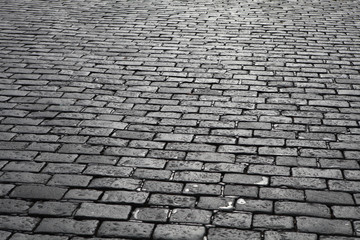 Cobblestone alley black and white picture