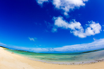 沖縄の海