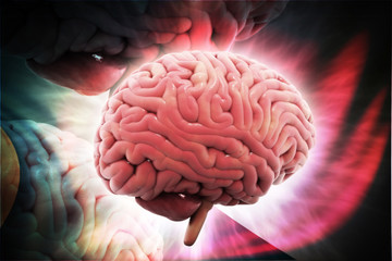 3d rendered  brain in colour background
