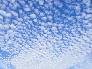 ひつじ雲(altocumulus cloud)