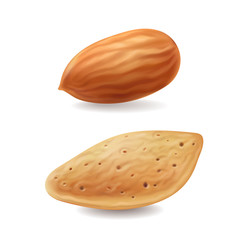 Almonds nuts with shell isolated realistic