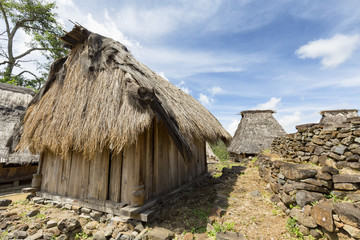 Fototapeta na wymiar Tradtional houses in the Wologai village near Kelimutu in East Nusa Tenggara, Indoneisa.